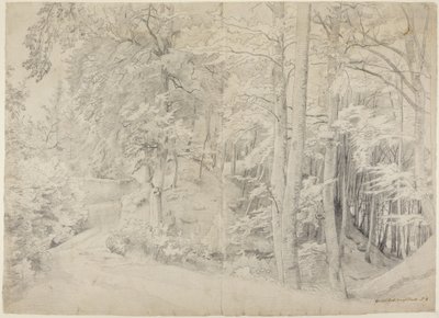 Dans la hêtraie - Johann Wilhelm Schirmer