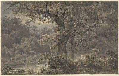  - Johann Wilhelm Schirmer