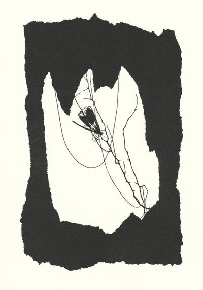 Silhouette de Johanna Beckmann - Johanna Beckmann
