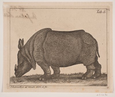 Un rhinocéros - Johanna Fosie