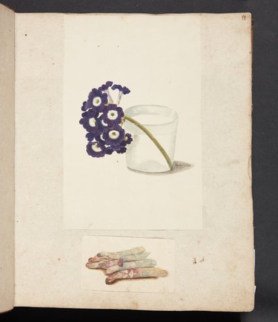 Étude de fleur dans un verre d