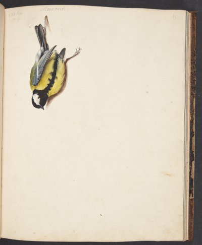 Étude d