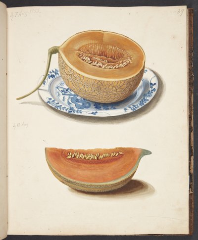 Étude de deux melons, coupés en deux et quadrillés - Johanna Fosie