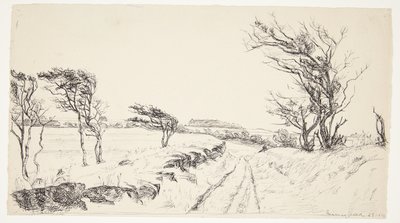 Paysage Breininggaard - Johanne Krebs