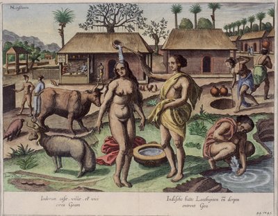 La vie à Goa, illustration de 