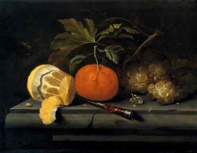 Fruits sur une table en pierre - Johannes Borman