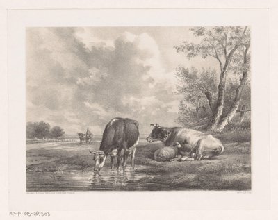 Deux vaches et un mouton près de l