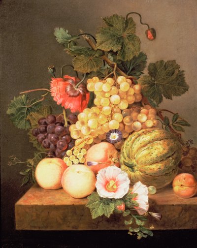 Nature morte avec fruits - Johannes Cornelis Bruyn