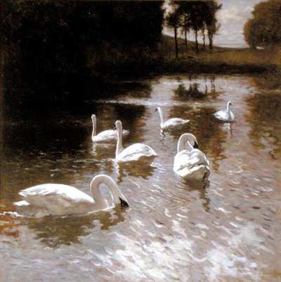 Cygnes sur un lac, c.1890 - Johannes Cornelis van Essen