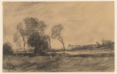 Arbres au bord de l