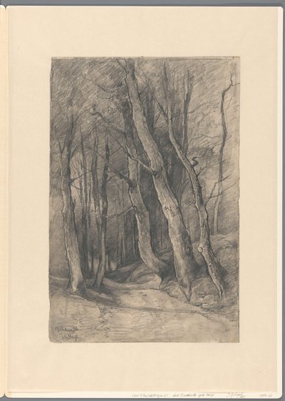 Paysage forestier près de Delden - Johannes Gijsbert Vogel