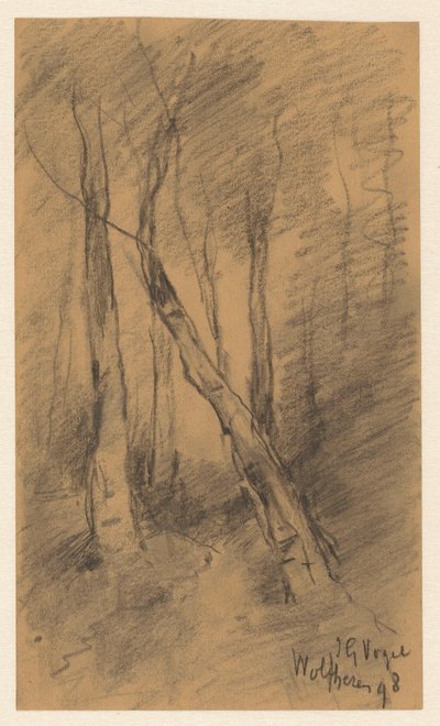 Paysage forestier près de Wolfheze - Johannes Gijsbert Vogel