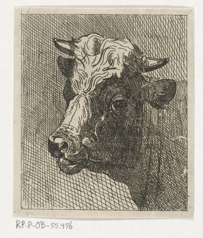Tête de vache vers la gauche - Johannes Hari (II)