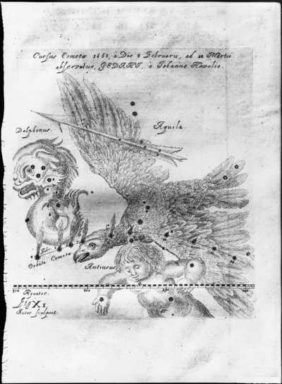 La comète découverte et observée par Johannes Hevelius du 3 février au 28 mars 1661 à Gdansk - Johannes Hevelius
