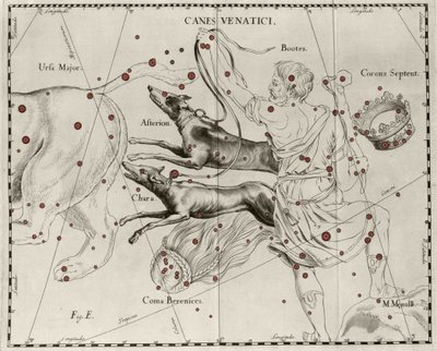 La constellation Canes Venatici, Chiens de chasse. Planche tirée de « Firmamentum Sobiescanum sive Uranographia » par Johannes Hevelius - Johannes Hevelius
