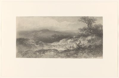 Paysage de dunes - Johannes Hilverdink