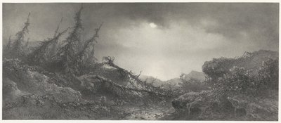 Après la tempête - Johannes Hilverdink