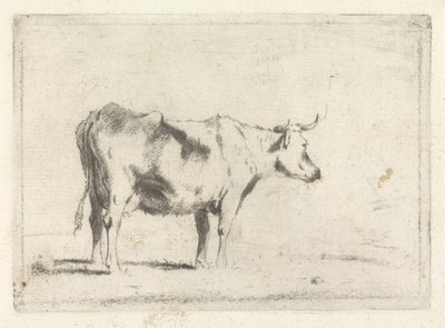 Vache, vers la droite - Johannes Janson (possibly)