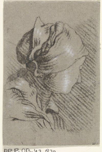 Buste de femme - Johannes Janson (possibly)