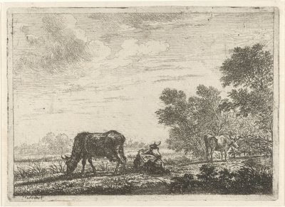 Trois vaches dans un pré - Johannes Janson