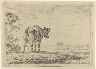 Vache dans un pré - Johannes Janson