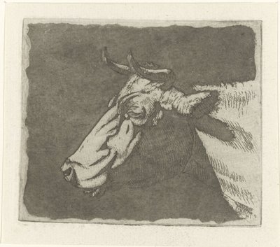 Tête de vache - Johannes Janson