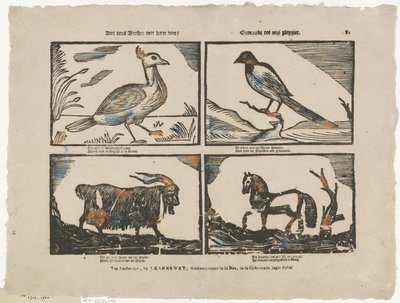 Voyez ces bêtes avec ses quatre / Fait pour notre plaisir - Johannes Kannewet (II)