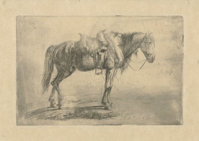 Cheval sellé vers la droite - Johannes Mock