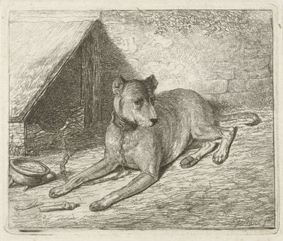 Chien enchaîné près d