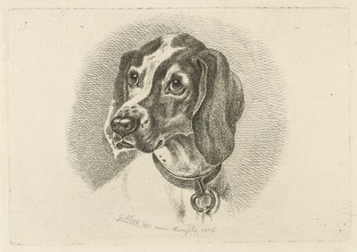 Tête de chien avec un collier avec anneau - Johannes Mock