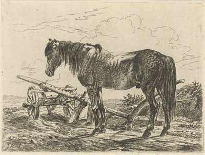 Cheval près d