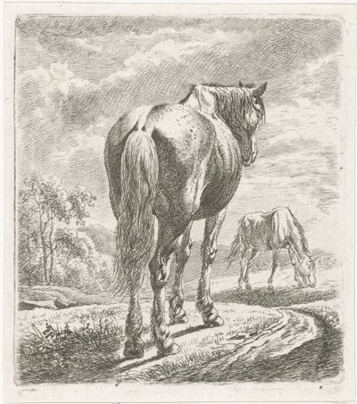 Cheval vu de dos - Johannes Mock