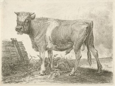 Taureau - Johannes Mock