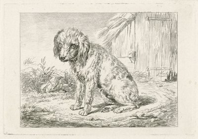 Chien assis près d