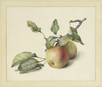 Deux petites pommes sur une branche - Johannes Reekers (II)