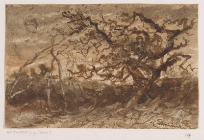 Arbre au coucher du soleil - Johannes Tavenraat (signed by artist)
