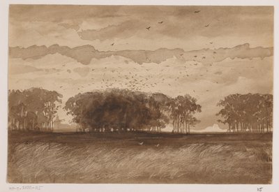 Colonie de corbeaux en Brabant-Septentrional - Johannes Tavenraat (signed by artist)