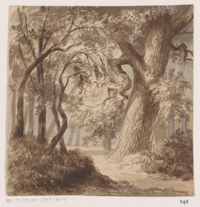 Paysage forestier - Johannes Tavenraat