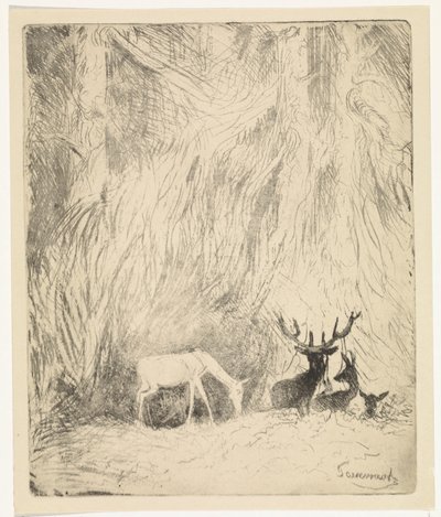 Cerfs dans une forêt bohémienne - Johannes Tavenraat