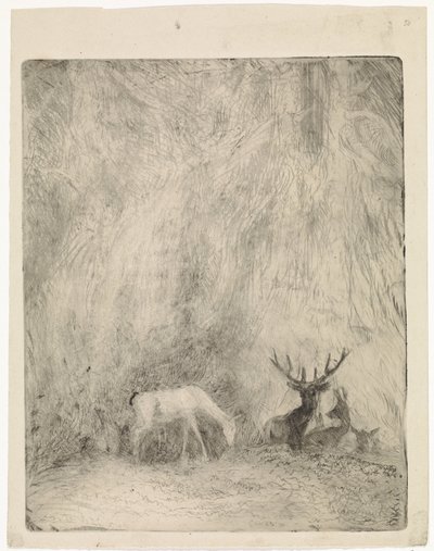 Cerfs dans une forêt bohémienne - Johannes Tavenraat