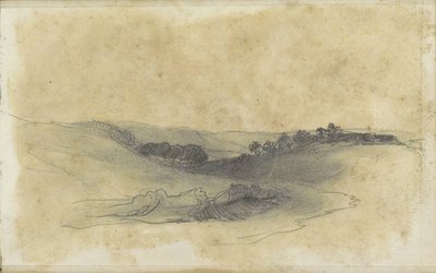 Paysage vallonné avec arbres - Johannes Tavenraat