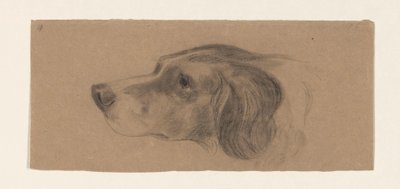 Tête de chien, vers la gauche - Johannes Tavenraat