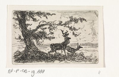 Deux cerfs sous un arbre - Johannes Tavenraat