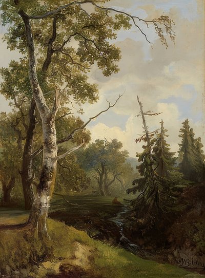 Paysage forestier près de Wolfheze - Johannes Warnardus Bilders