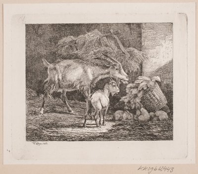 Une chèvre, un chevreau et des lapins dans une étable - Johannes Wilhelm Zillen
