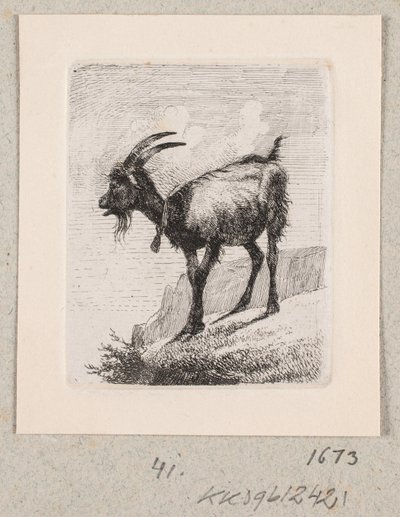 Une chèvre avec une cloche - Johannes Wilhelm Zillen