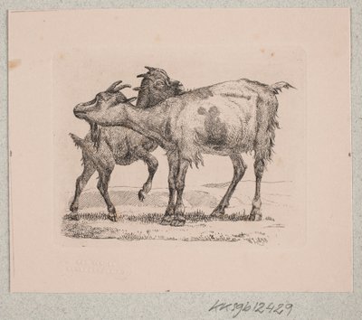 Une chèvre avec son chevreau - Johannes Wilhelm Zillen