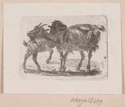 Une chèvre avec son chevreau - Johannes Wilhelm Zillen