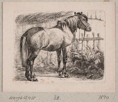 Un cheval avec bride - Johannes Wilhelm Zillen
