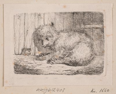 Un chien à poil long - Johannes Wilhelm Zillen